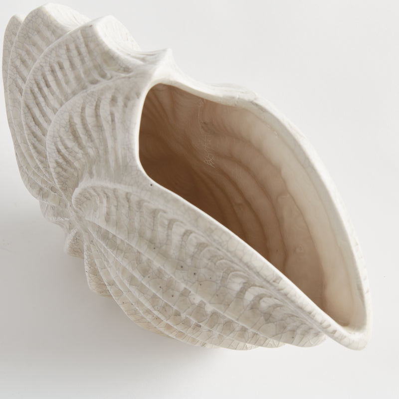 NAPA Home & Garden, NAUTILUS SHELL VASE,N5UG09