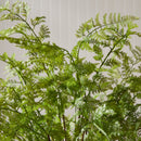 NAPA Home & Garden, SOFT FERN DROP-IN Collection
