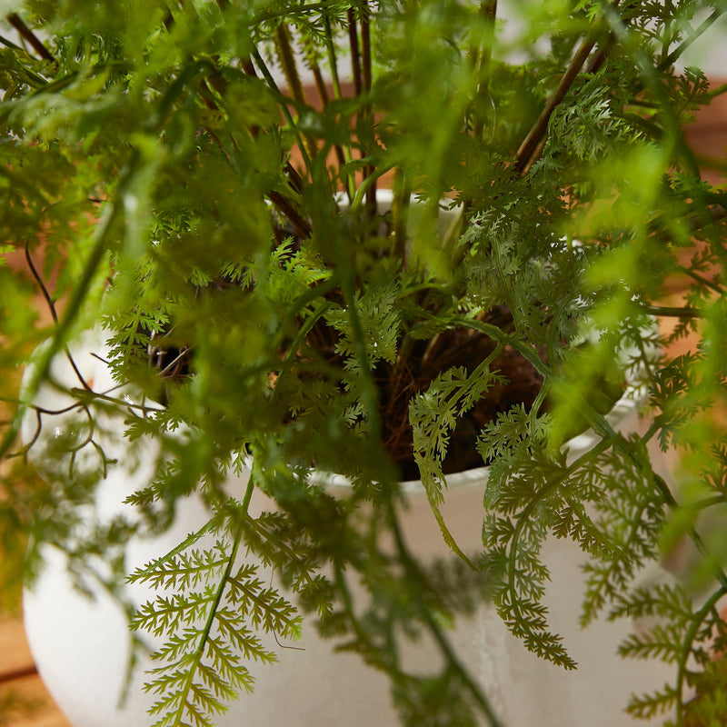 NAPA Home & Garden, SOFT FERN DROP-IN Collection