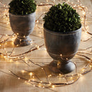 NAPA Home & Garden, NAPA NIGHT SKY LED LIGHTED BRANCH,NCP210