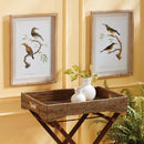 NAPA Home & Garden, ETRUIA & CONSERVATORY COLLECTION JARS AND VASES