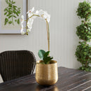 NAPA Home & Garden, EMBERLYNN CACHEPOT Collection