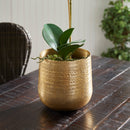 NAPA Home & Garden, EMBERLYNN CACHEPOT Collection
