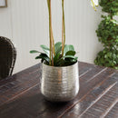 NAPA Home & Garden, EMBERLYNN CACHEPOT Collection