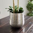 NAPA Home & Garden, EMBERLYNN CACHEPOT Collection