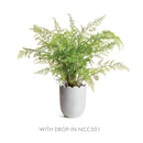 NAPA Home & Garden, MIRABELLE SCALLOPED EDGE CACHEPOT,NFD227