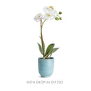 NAPA Home & Garden, MIA Mini Pot Collection
