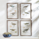 NAPA Home & Garden, COASTAL BIRDS STUDY, SET OF 4,NH402