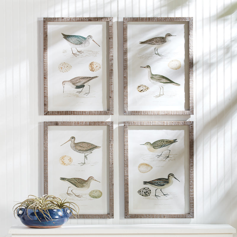 NAPA Home & Garden, COASTAL BIRDS STUDY, SET OF 4,NH402