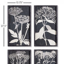 NAPA Home & Garden, MONOCHROME QUEEN ANNE'S LACE PRINTS, SET OF 4,NH404