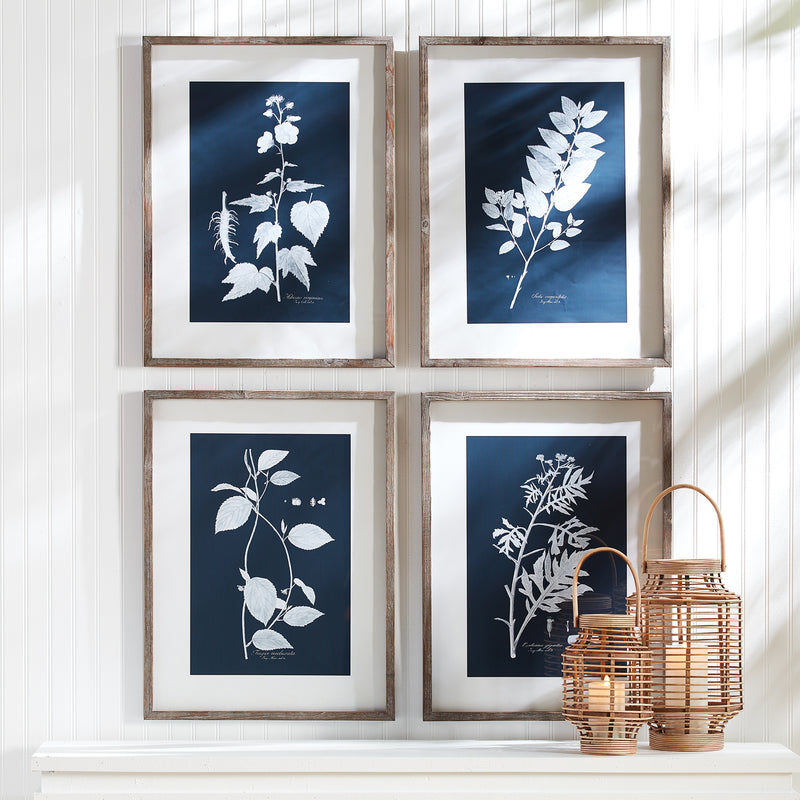 NAPA Home & Garden, CYANO BOTANICAL LEAF STUDY, SET OF 4,NH414