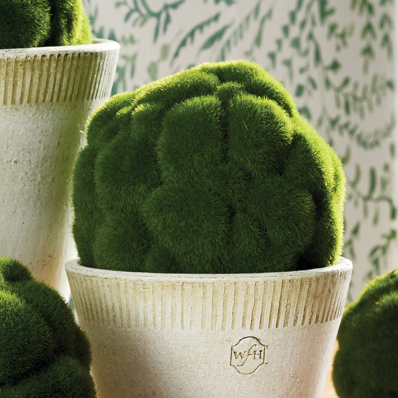 NAPA Home & Garden, MOOD MOSS ORB 5.5",NJ217