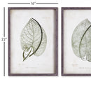 NAPA Home & Garden, CORDATE LEAF STUDY, SET OF 2,NNH505