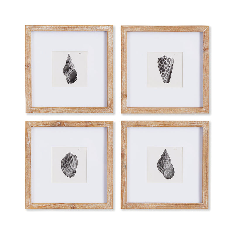 NAPA Home & Garden, SEASHELL PETITE PRINTS, SET OF 4,NNH517