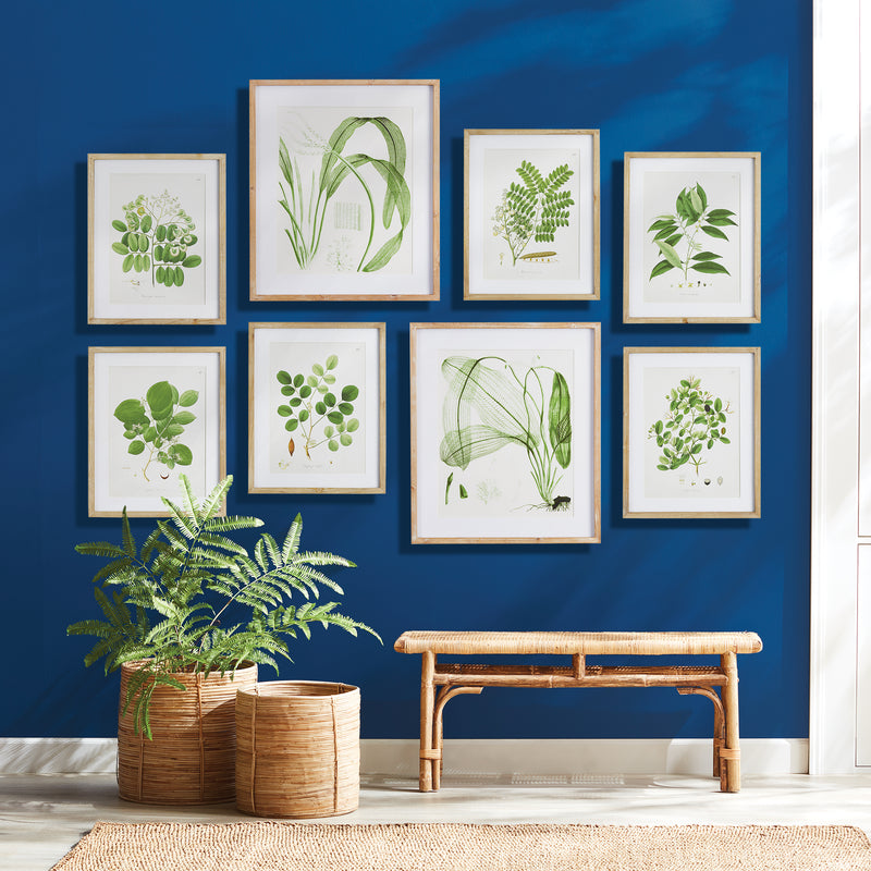 Napa Home Collection-Wall Art, Aquatic Leaf Prints, Set of 2