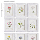 NAPA Home & Garden, GARDEN MEADOW STUDY, SET OF 9,NNH525