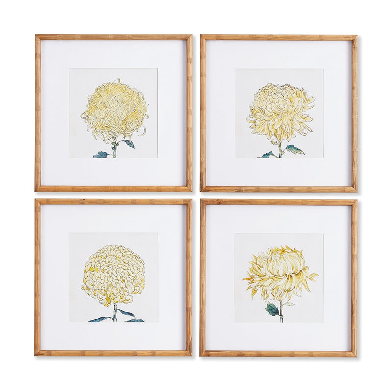 Napa Home Collection-Wall Art, Chrysanthemum Prints, Set of 4