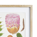 NAPA Home & Garden, LEAF BOTANICAL STUDY, SET OF 6,NNH537