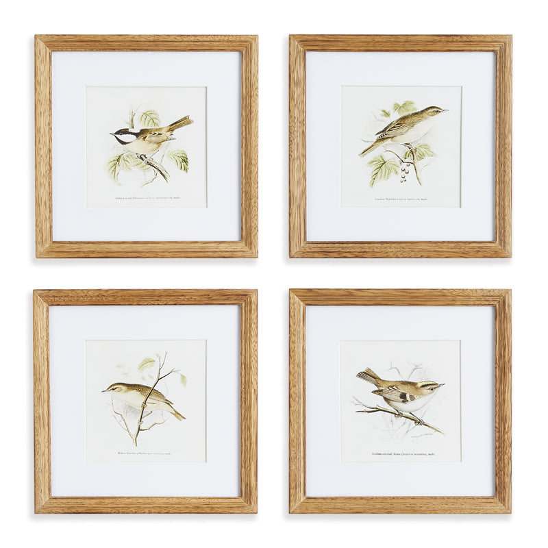 NAPA Home & Garden, PERCHING BIRD STUDY PETITE, SET OF 4,NNH539