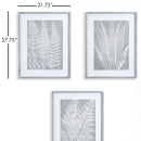 NAPA Home & Garden, FERN FROND PRINTS, SET OF 3,NNH544