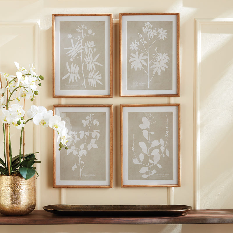 NAPA Home & Garden, FOLIAGE STUDY, SET OF 4,NNH548