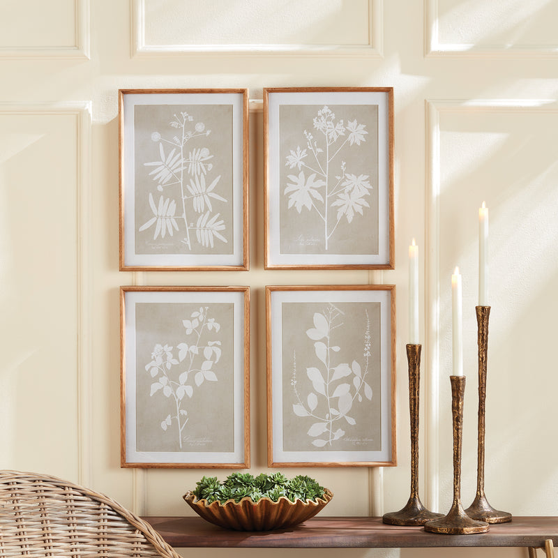 NAPA Home & Garden, FOLIAGE STUDY, SET OF 4,NNH548