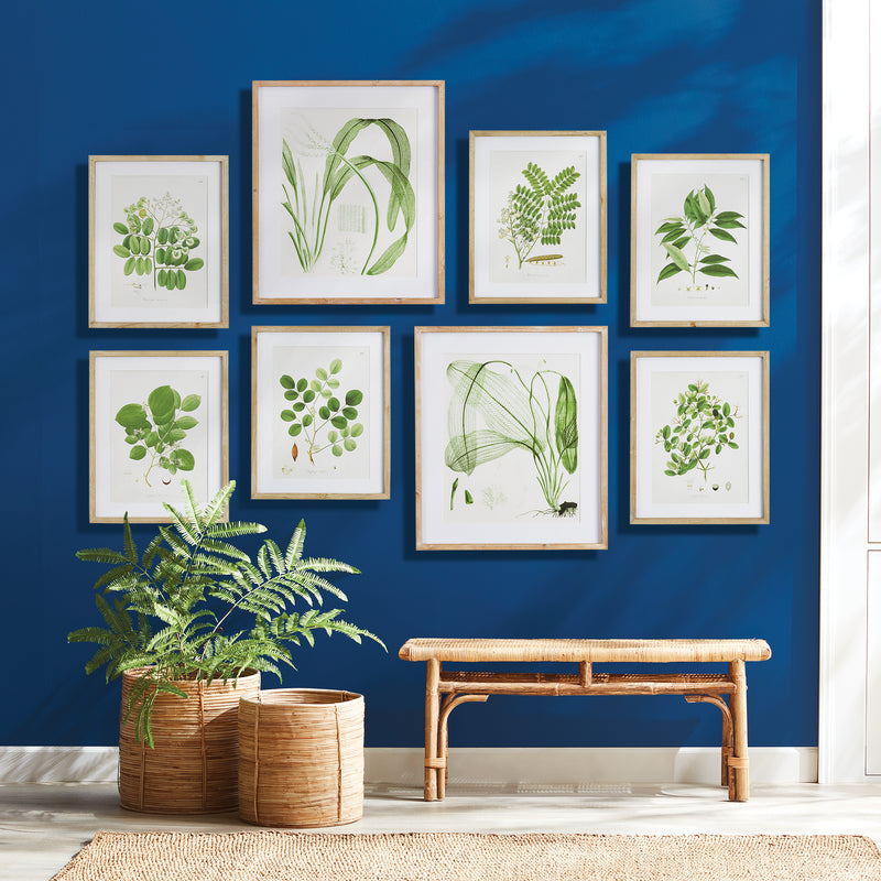 NAPA Home & Garden, TREE LEAF STUDY, SET OF 6,NNH549