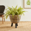 NAPA Home & Garden, Decorative Plant Stands and Baskets Collection