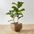 NAPA Home & Garden, Decorative Plant Stands and Baskets Collection