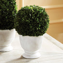 NAPA Home & Garden, Boxwood Ball Topiary in Pot