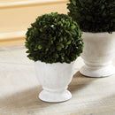 NAPA Home & Garden, Boxwood Ball Topiary in Pot