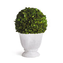 NAPA Home & Garden, Boxwood Ball Topiary in Pot