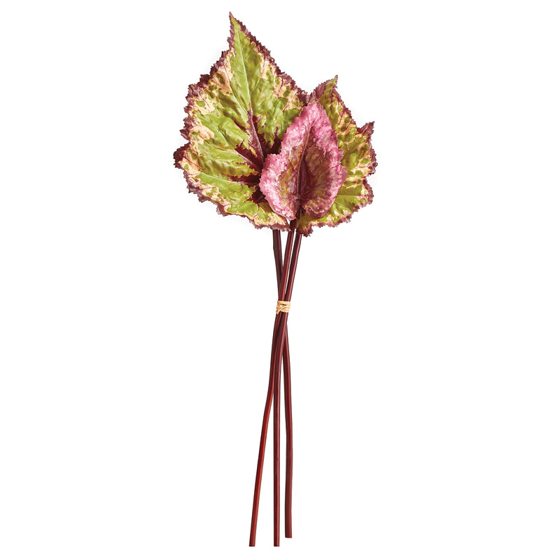 NAPA Home & Garden, BEGONIA LEAF STEMS, BUNDLE OF 3,NTP502