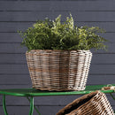 NAPA Home & Garden, WOVEN DRY BASKET PLANTER Collection