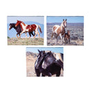 Canvas, Horse,  8" H x 10" L