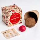 Wild Flower Seed Bomb Grow Kit