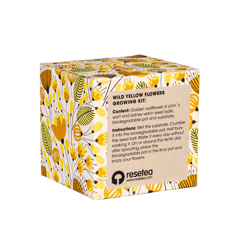 Wild Flower Seed Bomb Grow Kit