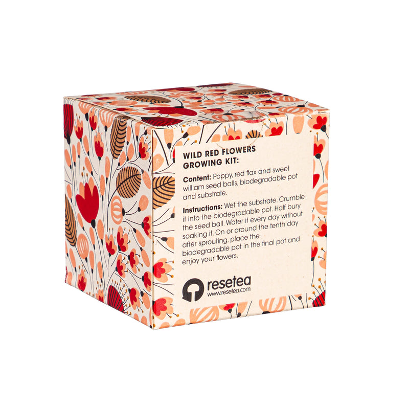 Wild Flower Seed Bomb Grow Kit