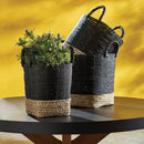 NAPA Home & Garden MADURA Market Baskets Collection