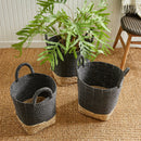 NAPA Home & Garden MADURA Market Baskets Collection