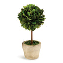 NAPA Home & Garden, BOXWOOD MINI SINGLE BALL TOPIARY IN POT,PG401
