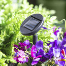 38"H Solar RGB Pathlights with Fosted Finish