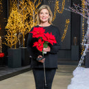 Solar Power Poinsettia  Garden Stake, 2 Blooms and 1 Bud