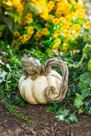 Toad on Pumpkin Statuary,phc294