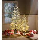Indoor/Outdoor Electric Lighted  Pine Tree, 4' Tall 255 LED Lights,phl163