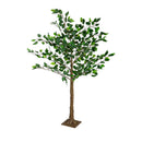 Indoor/Outdoor LED Ficus Tree  4'