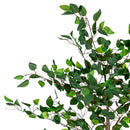 Indoor/Outdoor LED Ficus Tree  4'