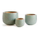 Ellis Pots by NAPA Home & Garden