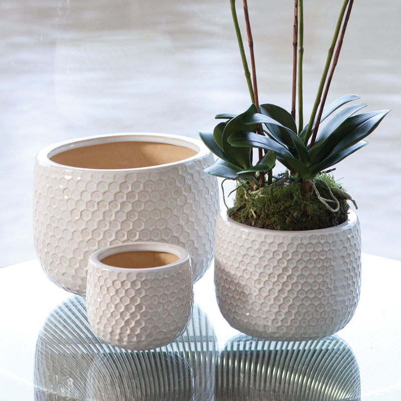 Porch & Petal Moderne Ellis Pots, Set of 3