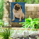 Camera Day Dogs, Pug Suede Garden Flag